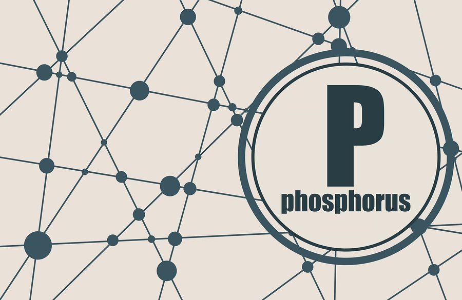I-PHYC stands out at The BIG Phosphorus Conference