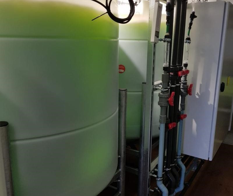 75m&sup3; per day algal treatment plant on site and removing both Phosphorus and Ammonia to trace levels
